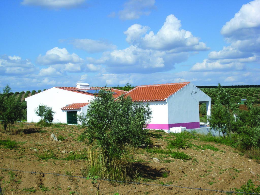 Horta Do Muro Pensionat Campo Maior Exteriör bild