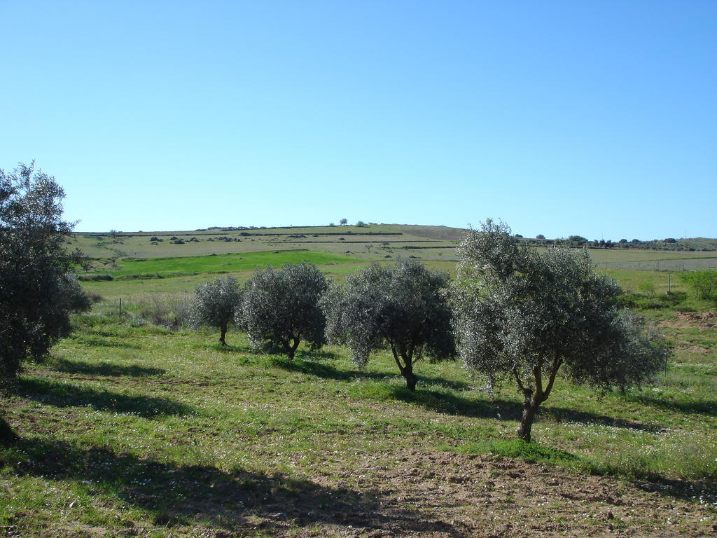 Horta Do Muro Pensionat Campo Maior Exteriör bild